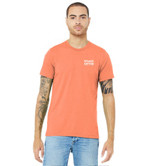 BELLA+CANVAS Unisex Triblend Short Sleeve Tee - BC3413 - OMS