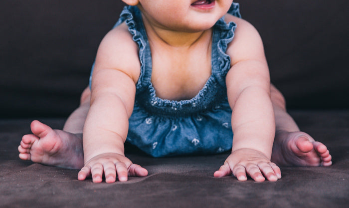Allstar Toddlers – Twist, Trek, and Tumble!